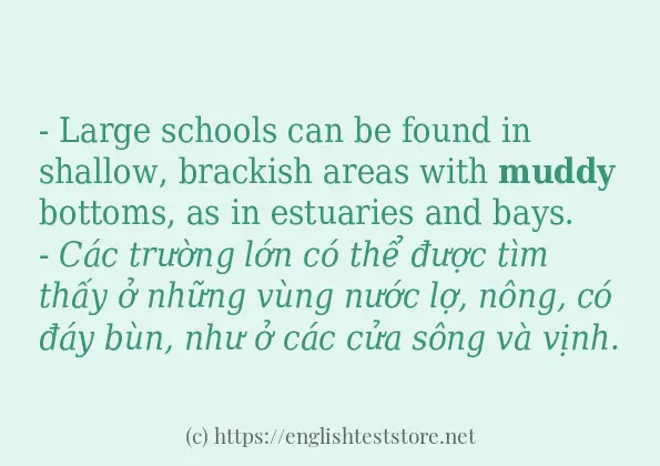 Cách dùng và câu ví dụ của từ muddy