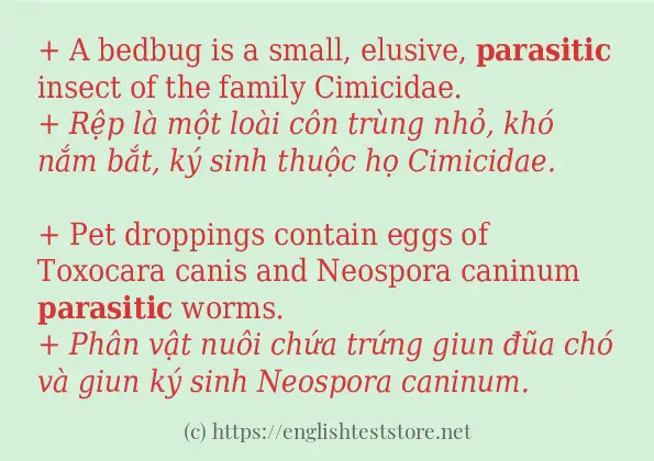 Cách dùng và câu ví dụ của từ parasitic