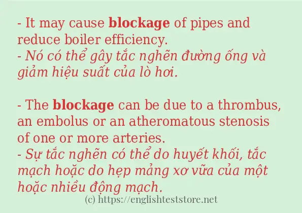 Cách sử dụng và câu ví dụ của từ blockage