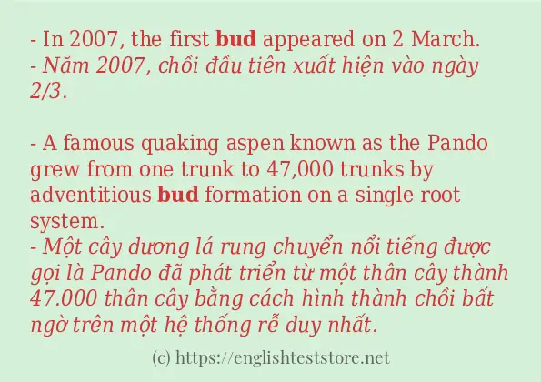 Cách sử dụng và câu ví dụ của từ bud