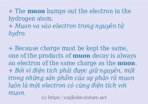 Cách sử dụng và câu ví dụ của từ muon