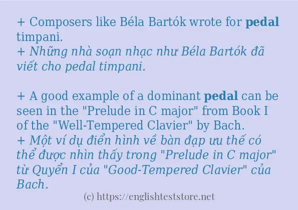 Cách sử dụng và câu ví dụ của từ pedal