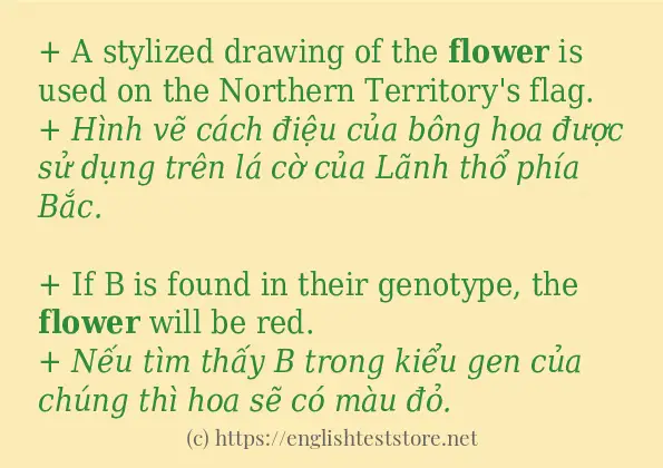 Câu ví dụ của từ flower