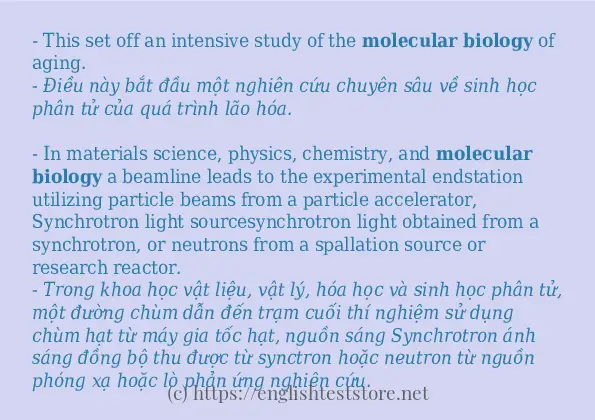 Câu ví dụ của từ molecular biology