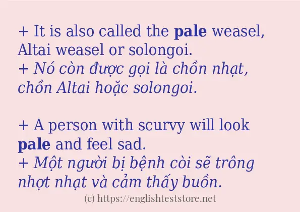 Câu ví dụ của từ pale