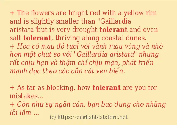 Câu ví dụ của từ tolerant