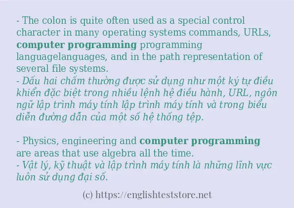 Computer programming sử dụng như thế nào và câu ví dụ