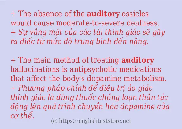 auditory cách dùng và ví dụ trong câu