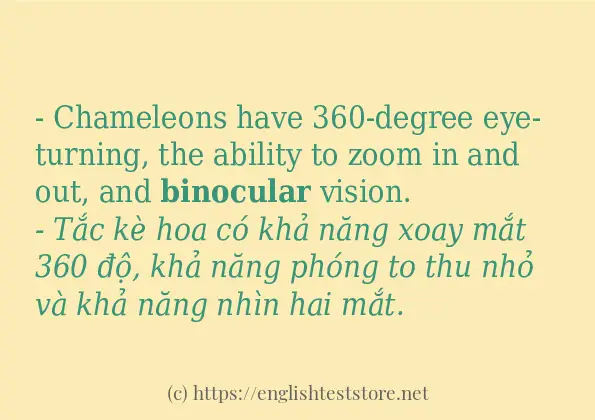 binocular ví dụ cách dùng trong câu