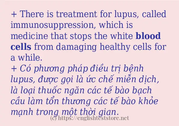 blood cells câu ví dụ và cách sử dụng