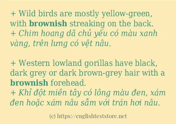 brownish các ví dụ và câu điển hình