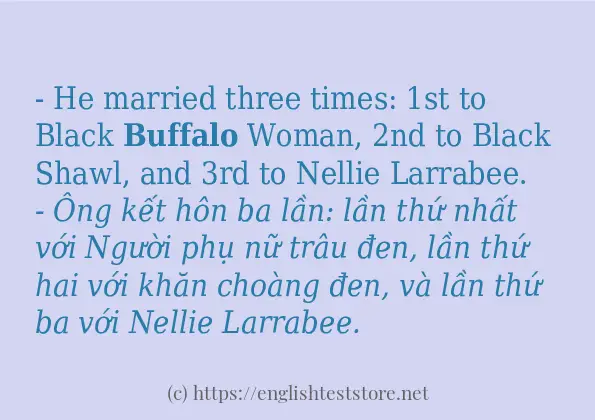 buffalo áp dụng trong câu và ví dụ