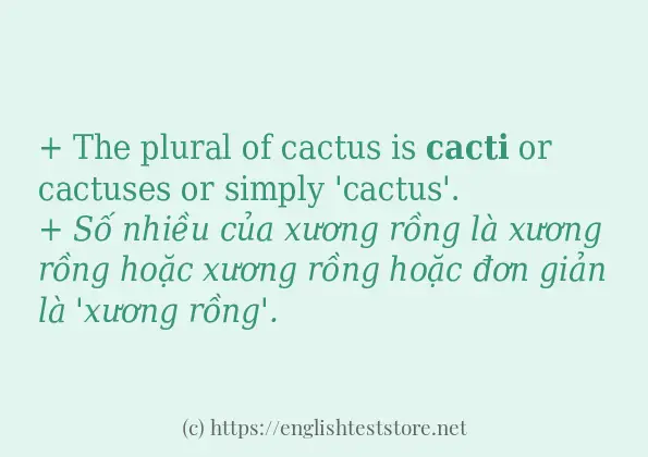 cacti có bao nhiêu cách dùng?