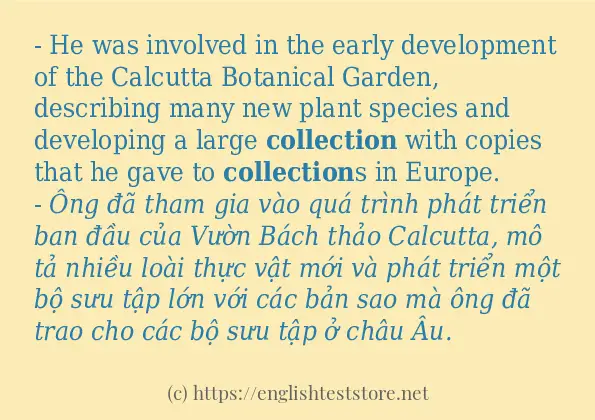 collection cách sử dụng và câu ví dụ