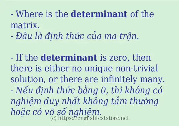 determinant sử dụng thực tế trong câu