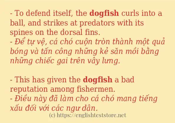 dogfish có bao nhiêu cách dùng?