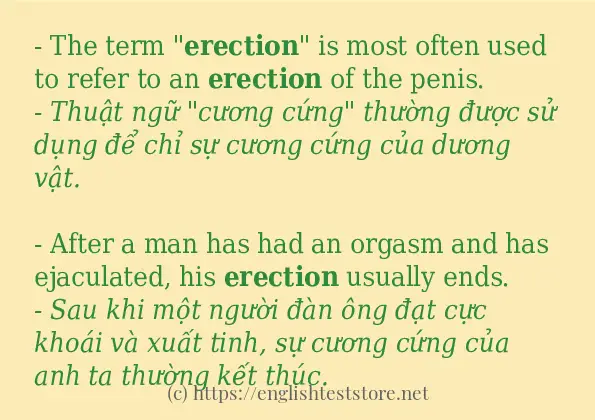 erection cách dùng trong câu và ví dụ