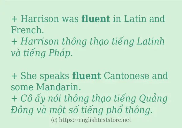 fluent cách dùng và ví dụ trong câu