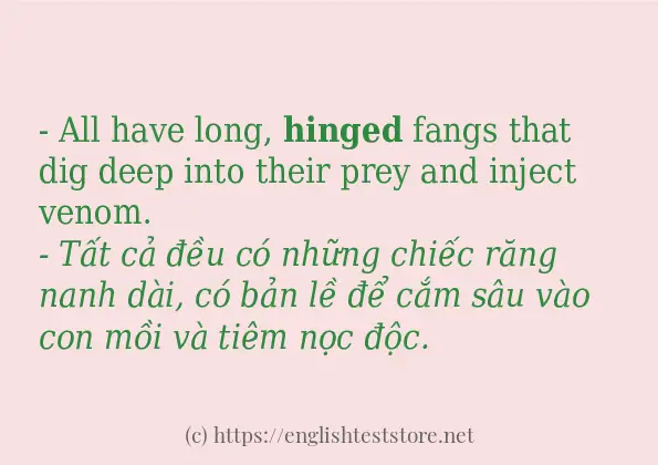 hinged dùng như thế nào?