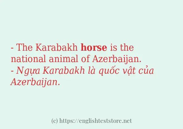 horse sử dụng như thế nào?