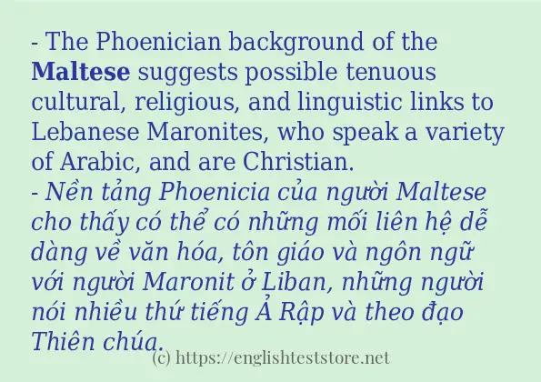 maltese áp dụng trong câu và ví dụ