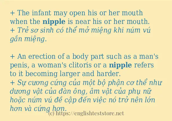 nipple câu ví dụ và cách sử dụng