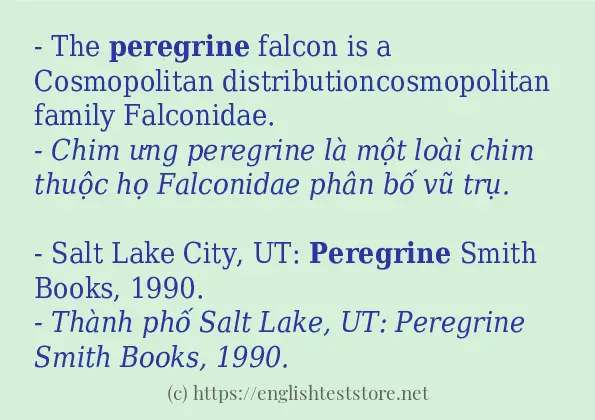 peregrine cách dùng và ví dụ trong câu