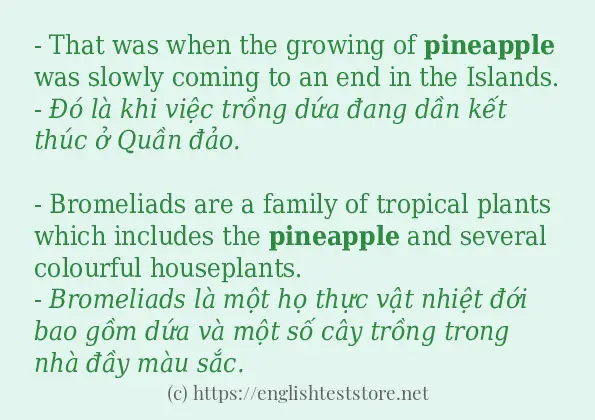 pineapple có bao nhiêu cách sử dụng?