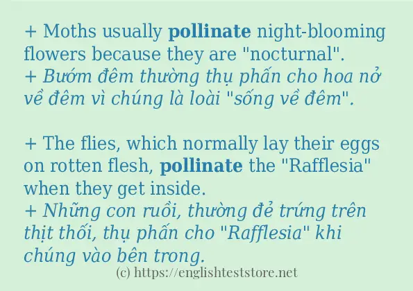 pollinate cách dùng trong câu và ví dụ