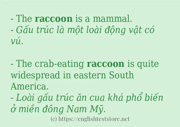 raccoon áp dụng trong câu và ví dụ