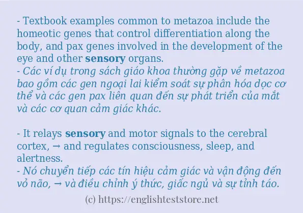 sensory sử dụng như thế nào?