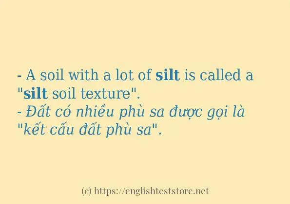 silt câu ví dụ về cách dùng