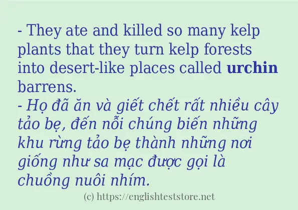 urchin có bao nhiêu cách sử dụng?