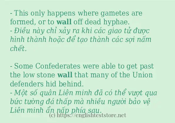 wall cách sử dụng và câu ví dụ