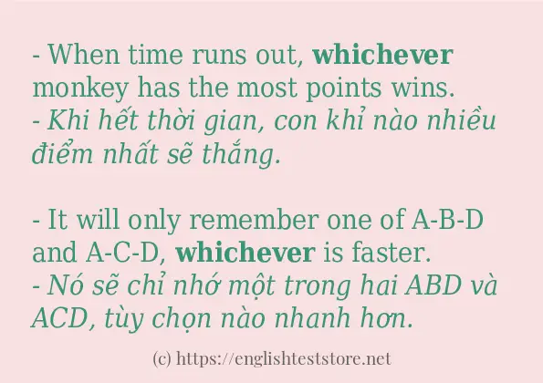 whichever cách dùng trong câu và ví dụ